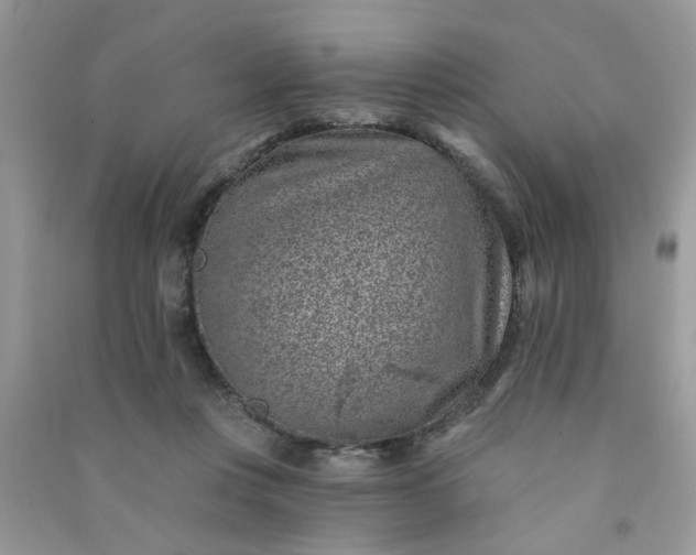 X0000091000359200708161943