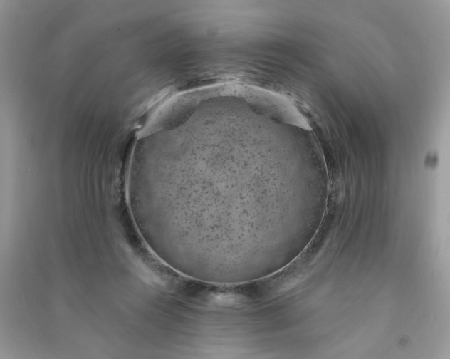 X0000091000360200708161943
