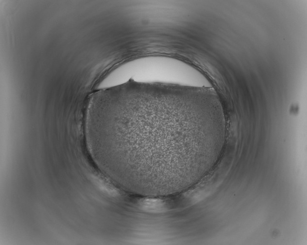 X0000091000361200708161943