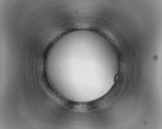 X0000091000362200708161943