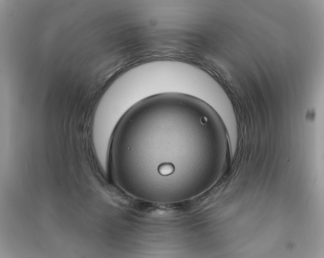 X0000091000364200708161943