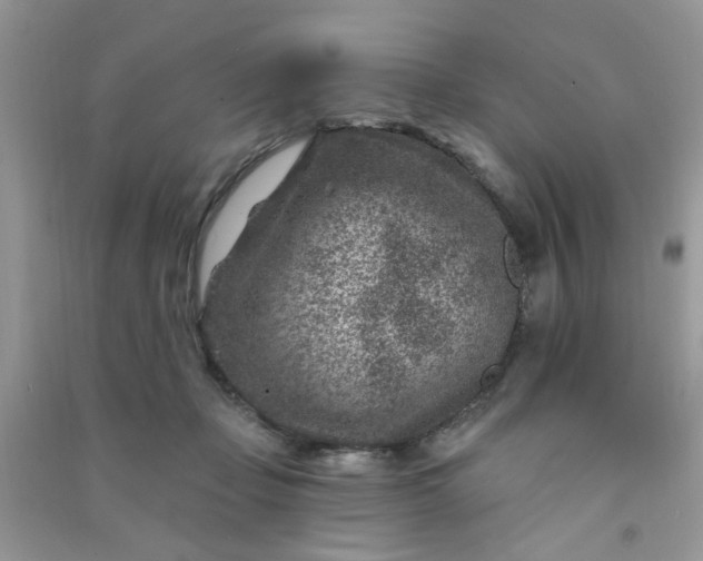 X0000091000365200708161943