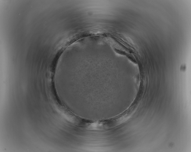 X0000091000366200708161943