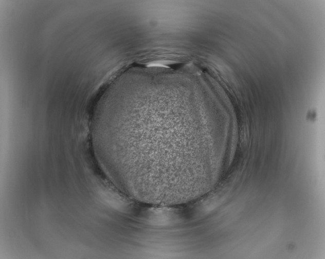 X0000091000367200708161943