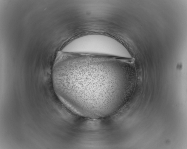 X0000091000369200708161943