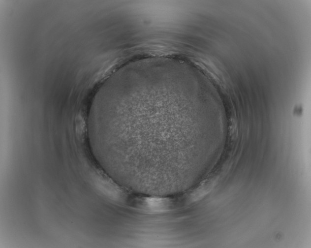 X0000091000371200708161943