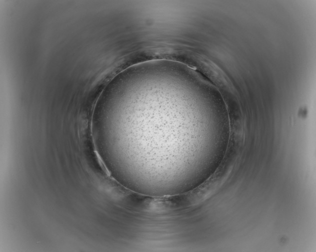 X0000091000372200708161943