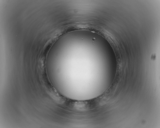 X0000091000373200708161943