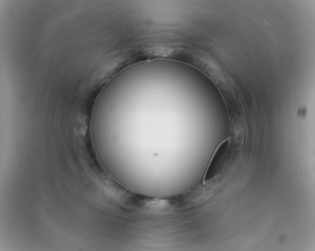 X0000091000374200708161943
