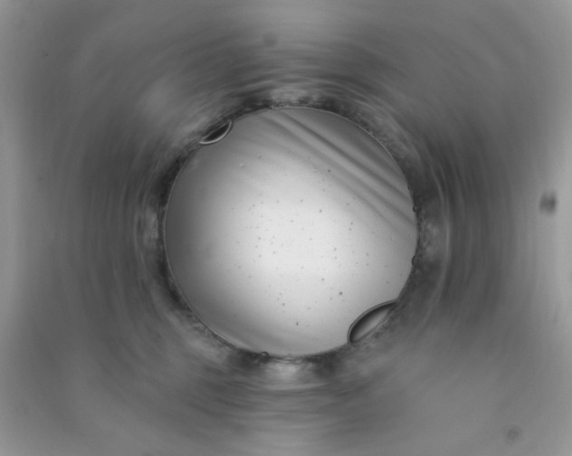 X0000091000375200708161943