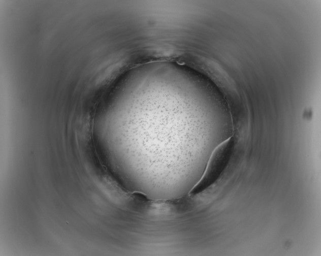 X0000091000376200708161943