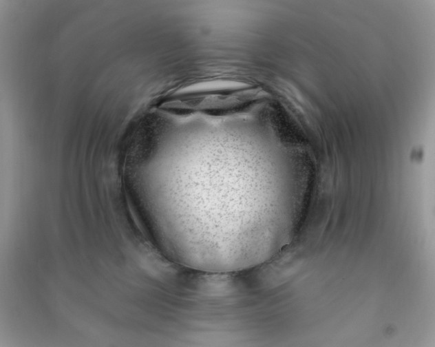X0000091000377200708161943