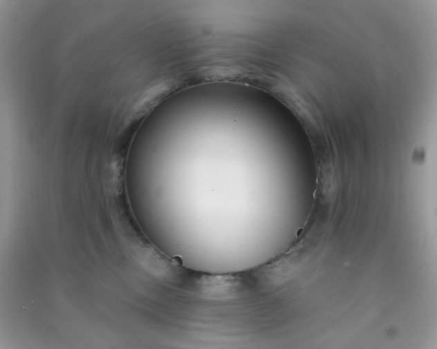 X0000091000378200708161943