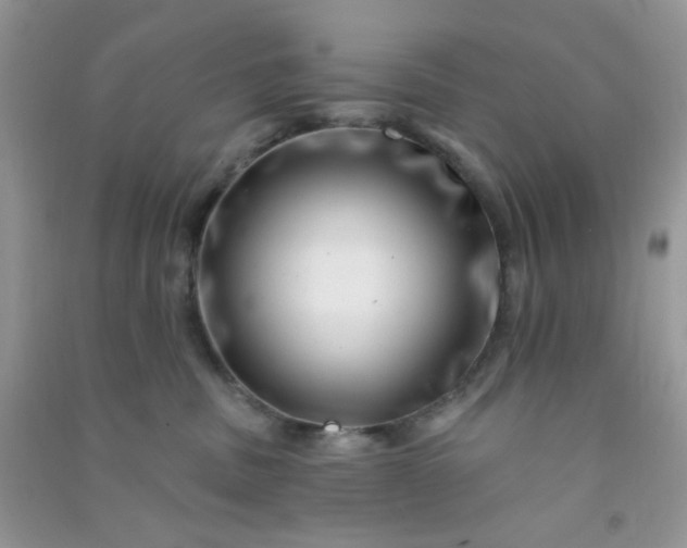X0000091000379200708161943