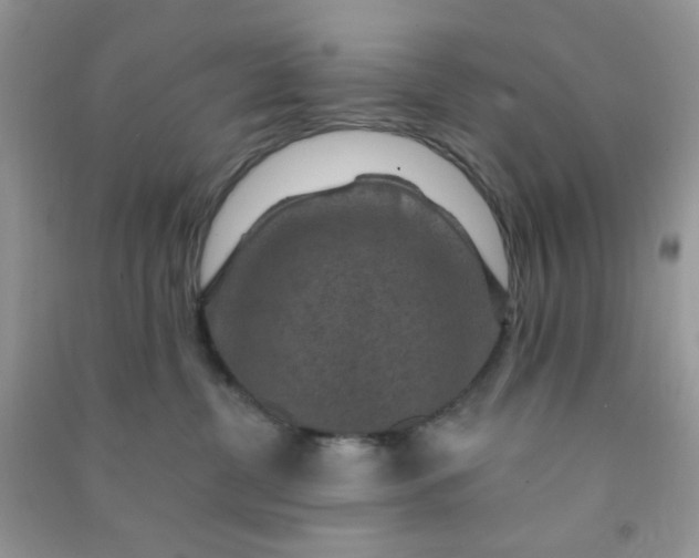 X0000091000380200708161943