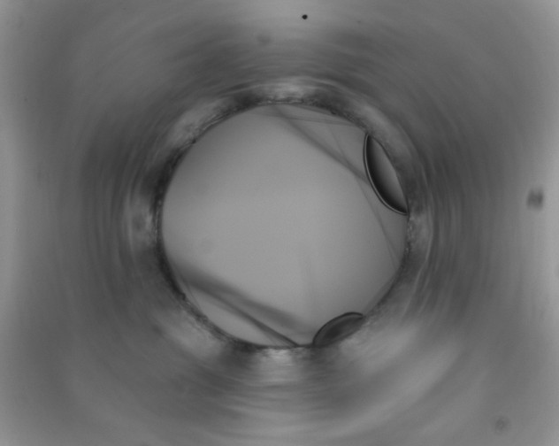 X0000091000381200708161943