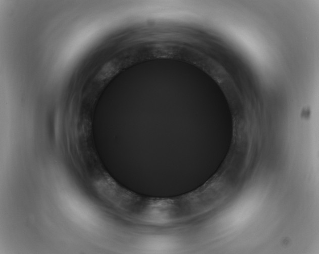 X0000091000382200708161943