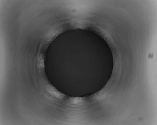 X0000091000384200708161943