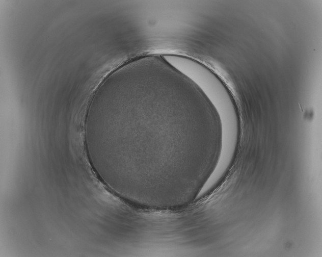 X0000091000385200708161942