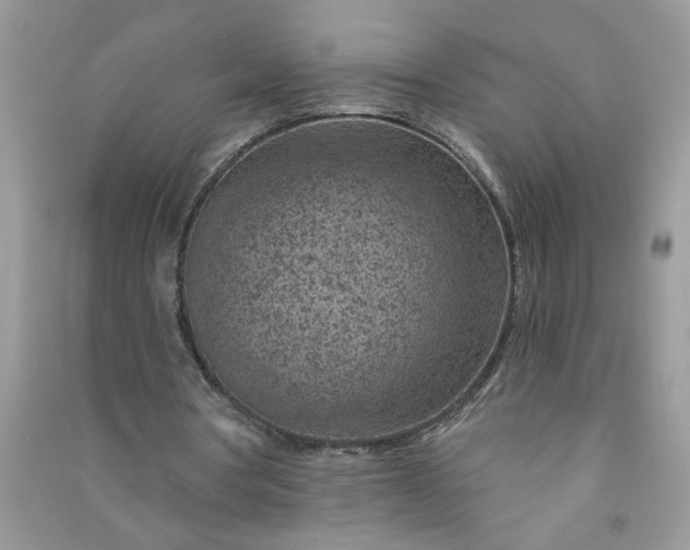 X0000091000386200708161942