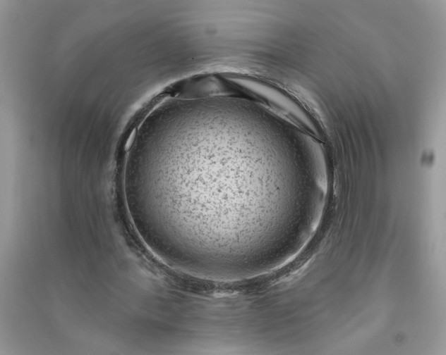 X0000091000388200708161942