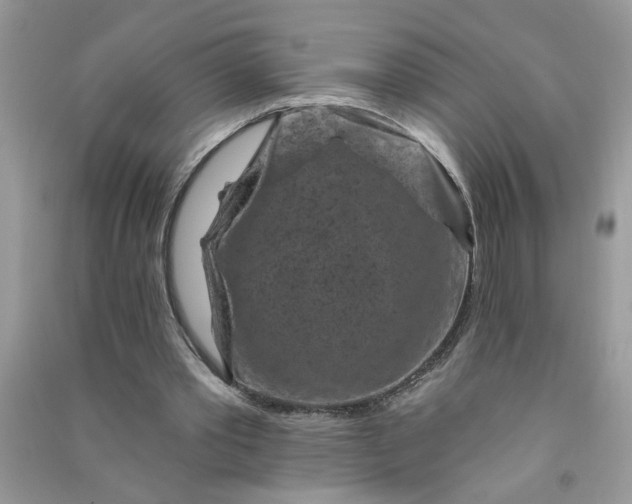 X0000091000389200708161942