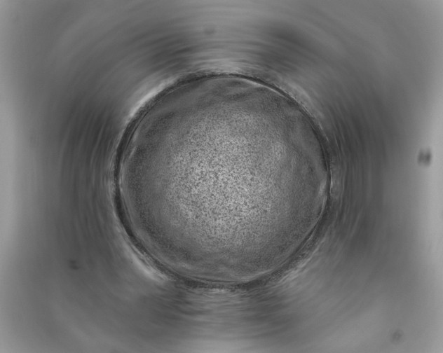 X0000091000390200708161942