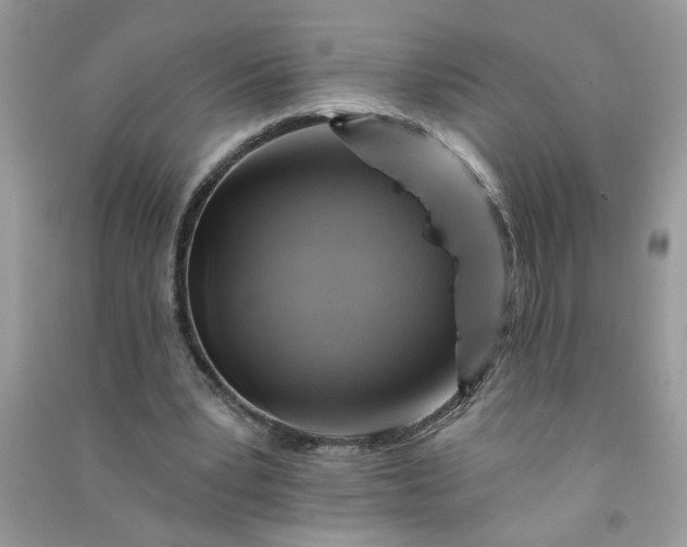 X0000091000391200708161942