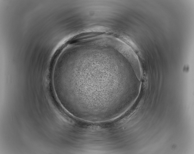 X0000091000392200708161942