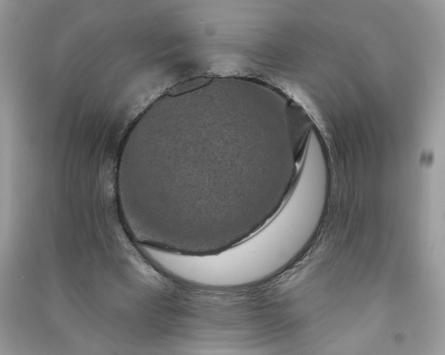 X0000091000393200708161942