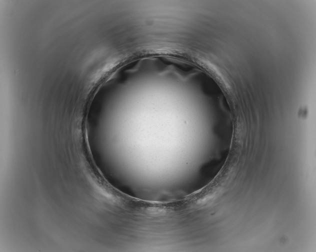 X0000091000394200708161942