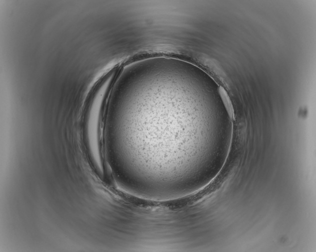 X0000091000395200708161942
