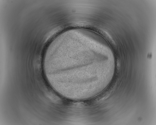 X0000091000396200708161942