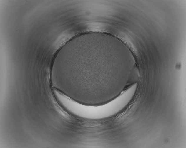 X0000091000397200708161942