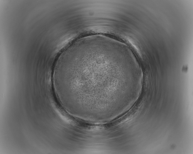 X0000091000398200708161942