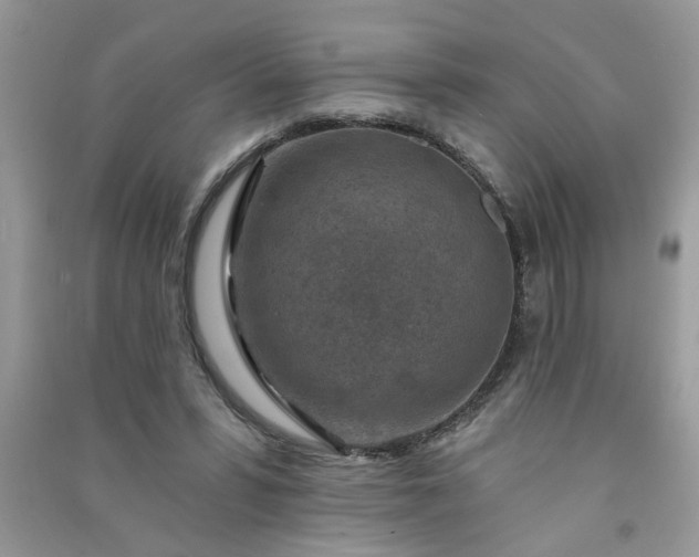 X0000091000399200708161942