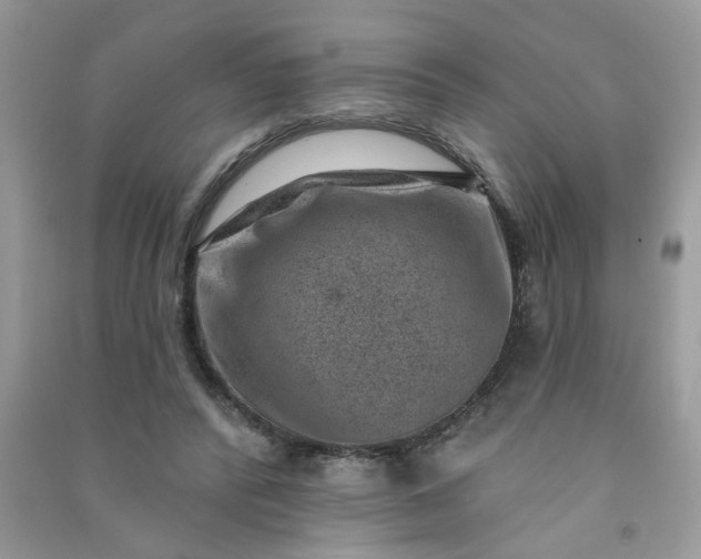 X0000091000400200708161942