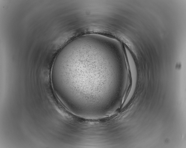 X0000091000401200708161942
