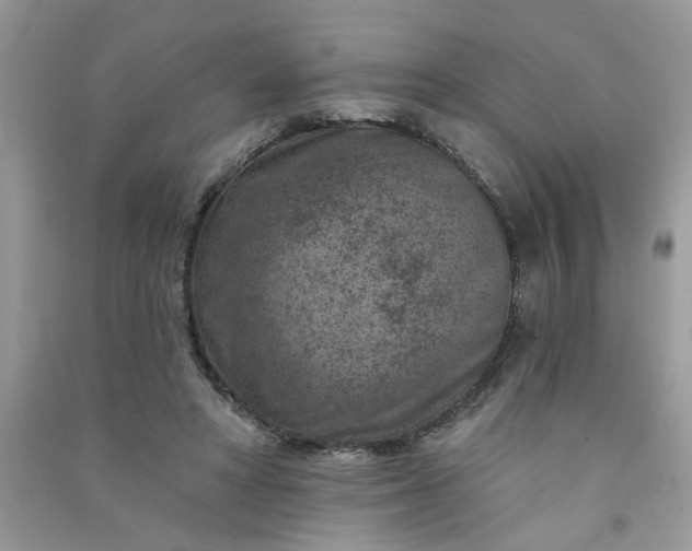 X0000091000402200708161942