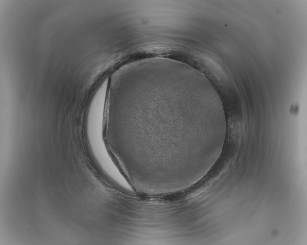 X0000091000404200708161942