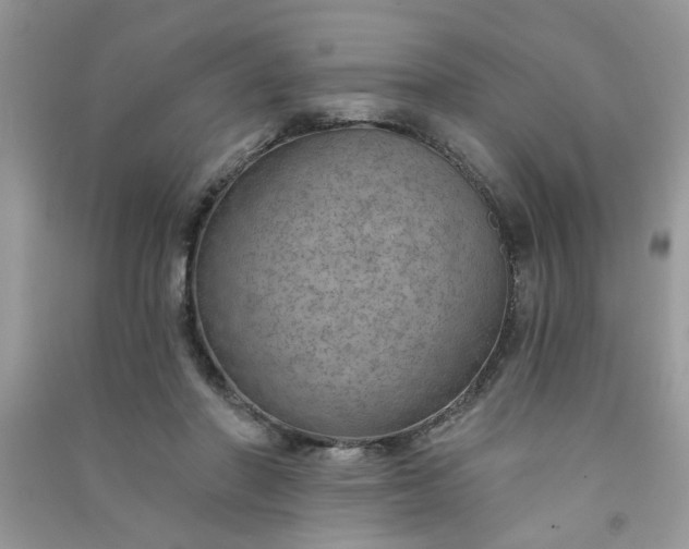 X0000091000406200708161942