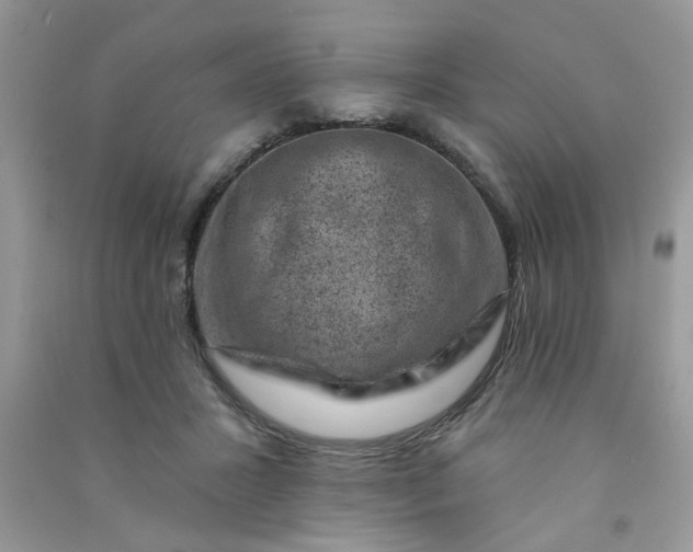 X0000091000407200708161942