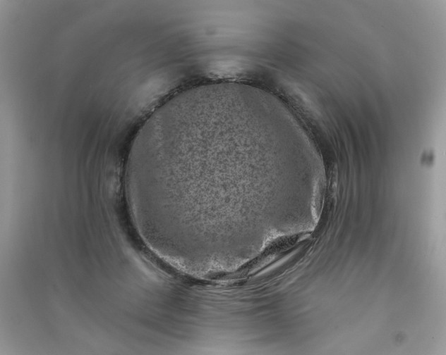 X0000091000408200708161942