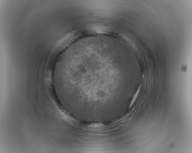 X0000091000410200708161942