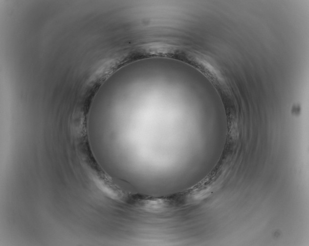X0000091000411200708161942