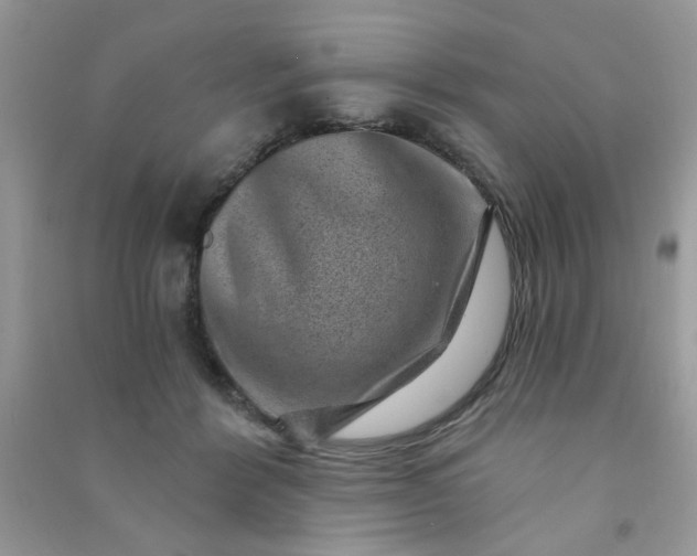 X0000091000412200708161942
