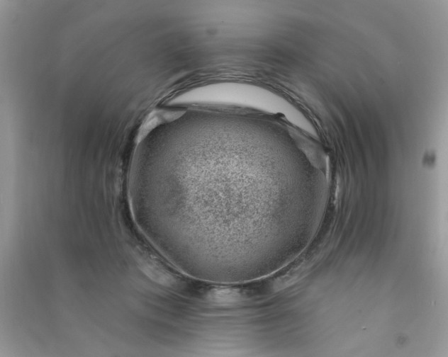 X0000091000413200708161942