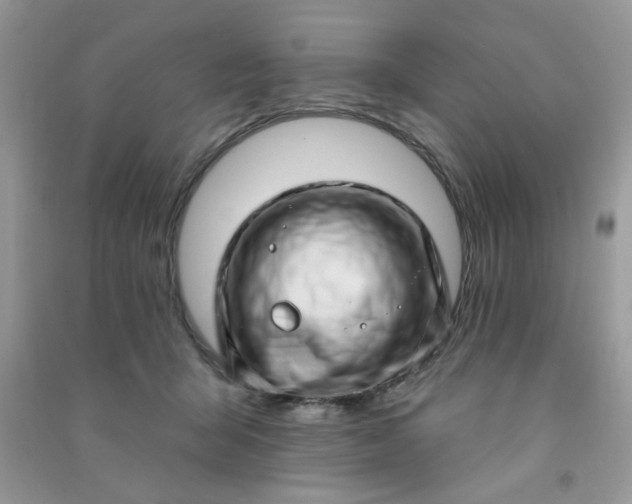 X0000091000415200708161942