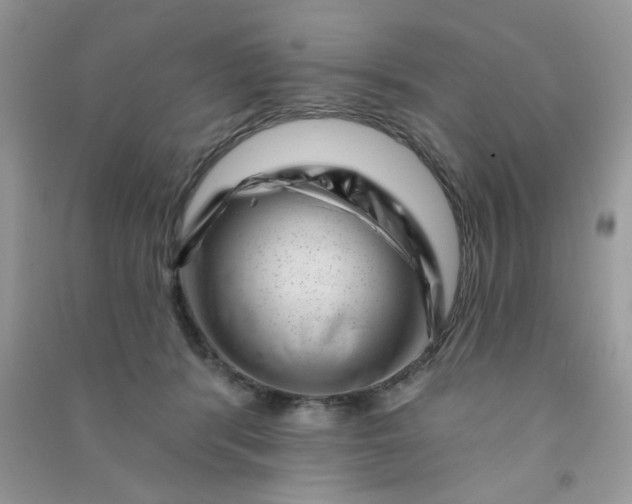 X0000091000416200708161942