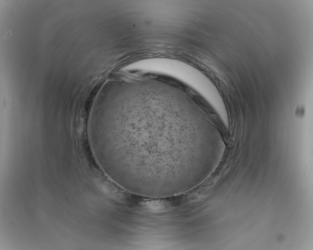 X0000091000417200708161942